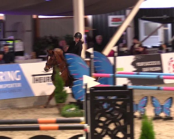 1. Nordic Jumping event Negernbötel 2023 - Season Opening