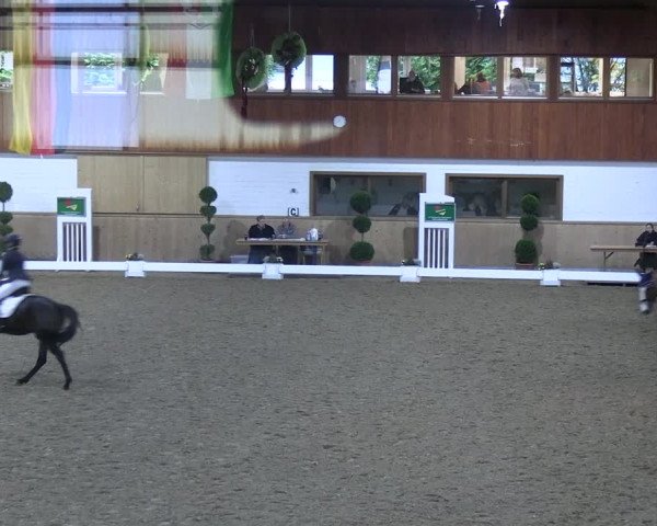 Reitturnier Hövelhof 2023