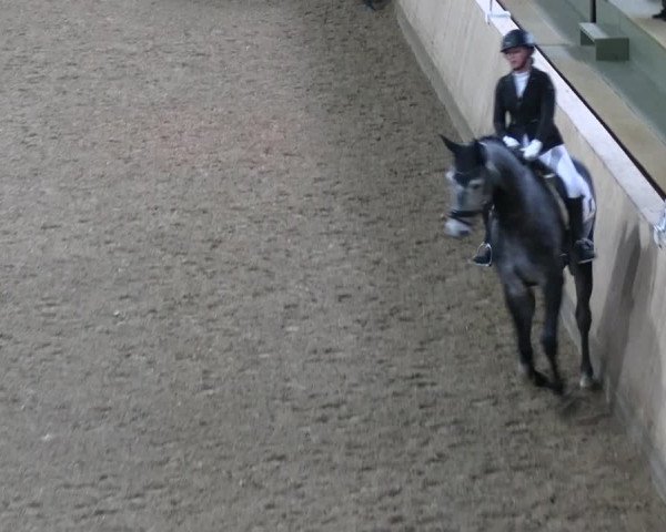 Reitturnier Hövelhof 2023
