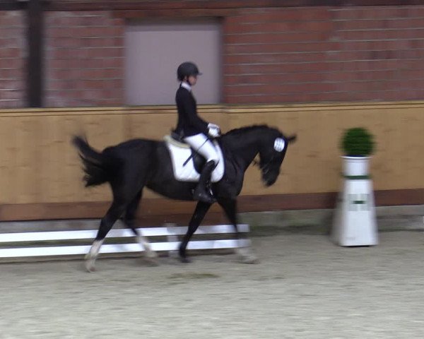 Reitturnier Hamburg-Friedrichshulde/Sylva Kuhrt 2023