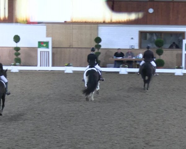 Reitturnier Hövelhof 2023