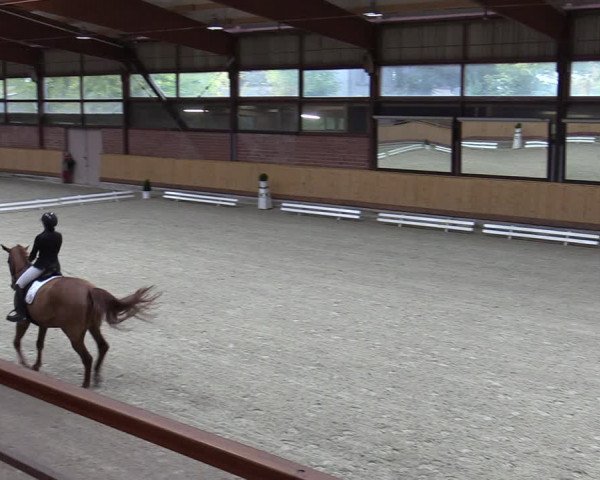 Reitturnier Hamburg-Friedrichshulde/Sylva Kuhrt 2023