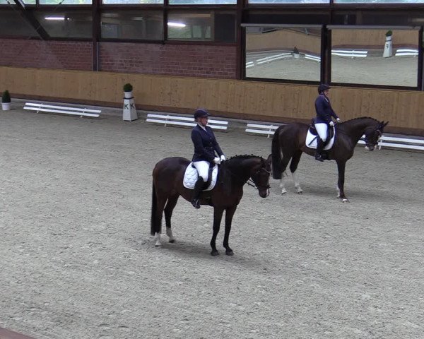 Reitturnier Hamburg-Friedrichshulde/Sylva Kuhrt 2023
