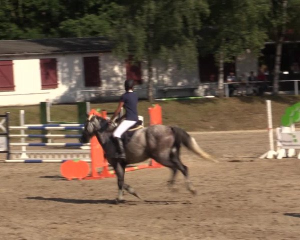Reitturnier Lgl.-Oberhain, B95 2021