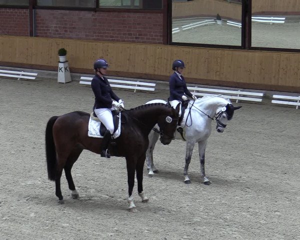 Reitturnier Hamburg-Friedrichshulde/Sylva Kuhrt 2023