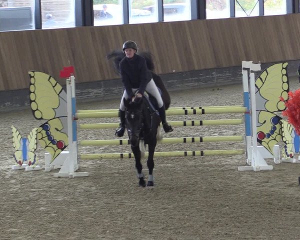 Reitturnier Zwickau 2023