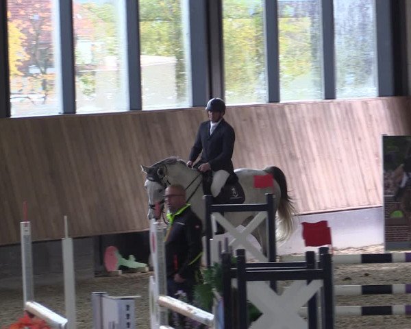 Reitturnier Zwickau 2023