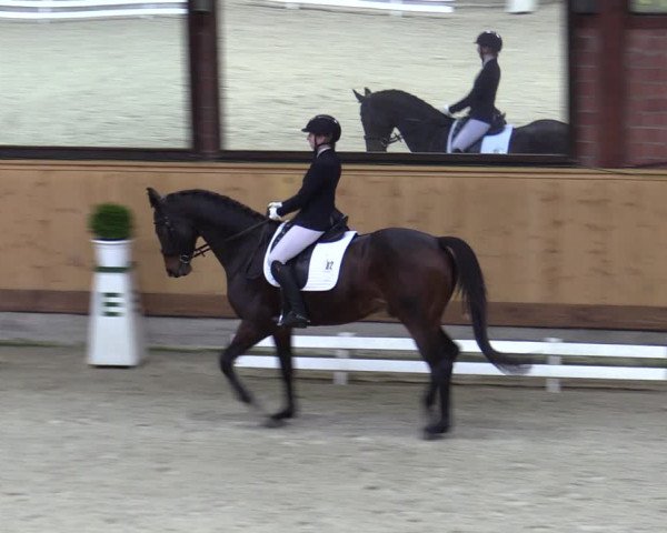 Reitturnier Hamburg-Friedrichshulde/Sylva Kuhrt 2023