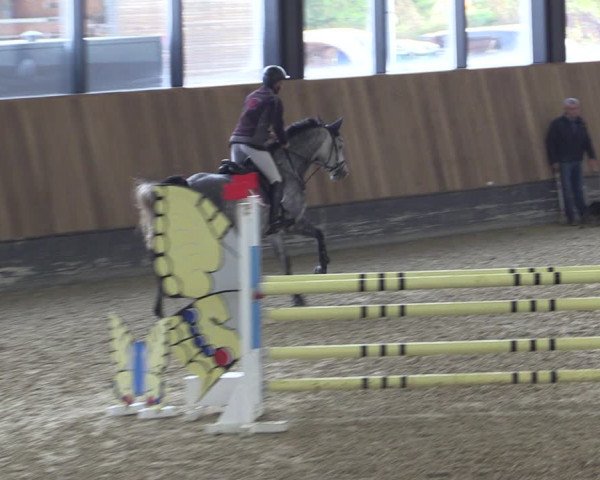Reitturnier Zwickau 2023