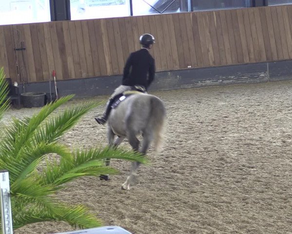 Reitturnier Zwickau 2023