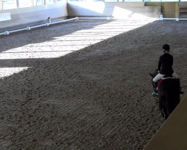 Reitturnier Urtenen-Schönbühl 2023