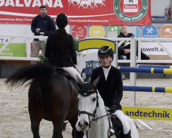 Reitturnier Borken 2023