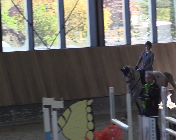 Reitturnier Zwickau 2023