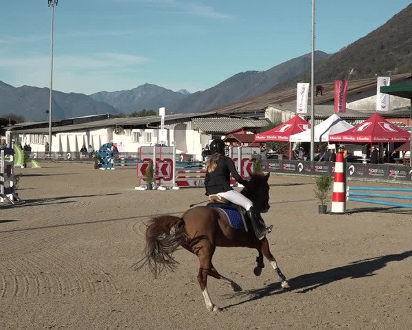 Reitturnier Giubiasco 2023