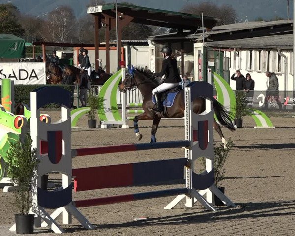Reitturnier Giubiasco 2023