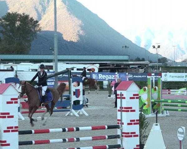 Reitturnier Giubiasco 2023