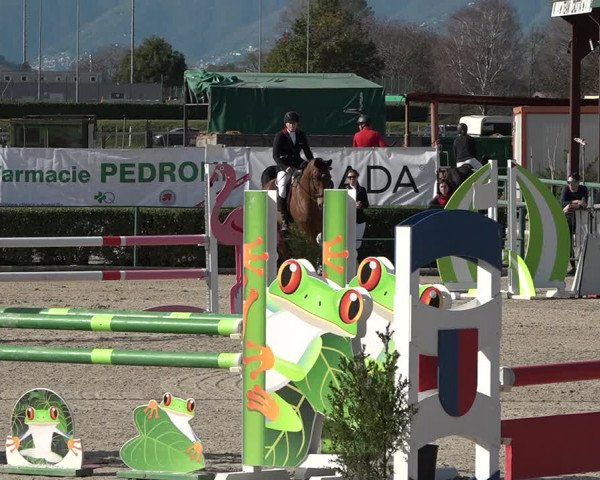 Reitturnier Giubiasco 2023
