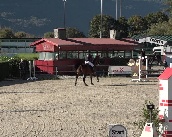 Reitturnier Giubiasco 2023