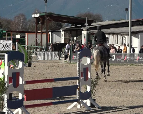 Reitturnier Giubiasco 2023