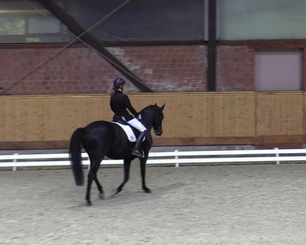 Reitturnier Hamburg-Friedrichshulde/Sylva Kuhrt 2023