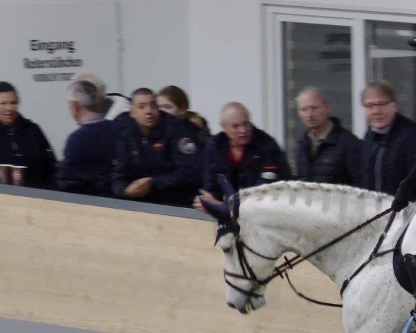 Reitturnier Borken 2023