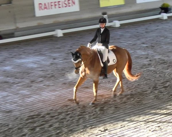 Reitturnier Urtenen-Schönbühl 2023