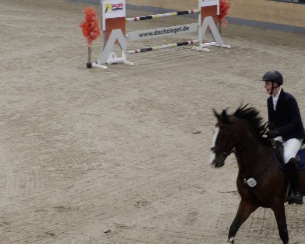 Reitturnier Borken 2023