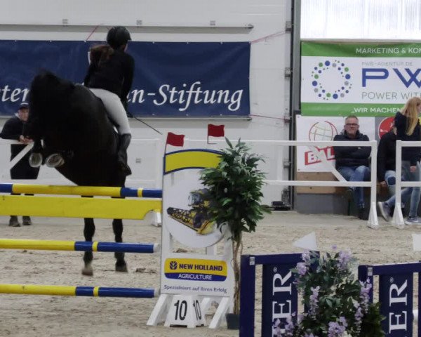 Reitturnier Borken 2023