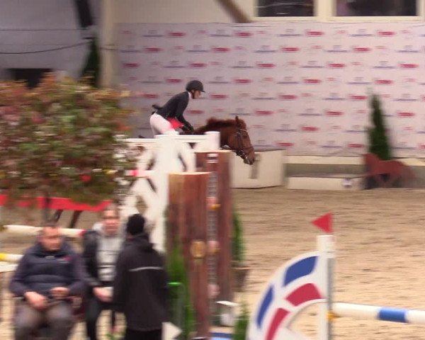 1. Nordic Jumping event Negernbötel 2023 - Season Opening