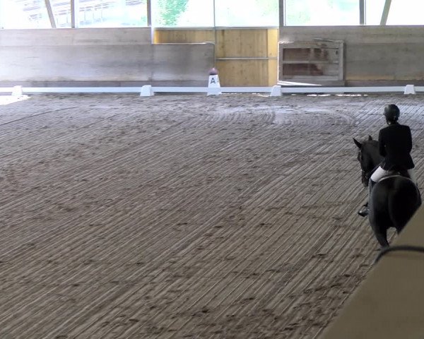 Reitturnier Urtenen-Schönbühl 2023