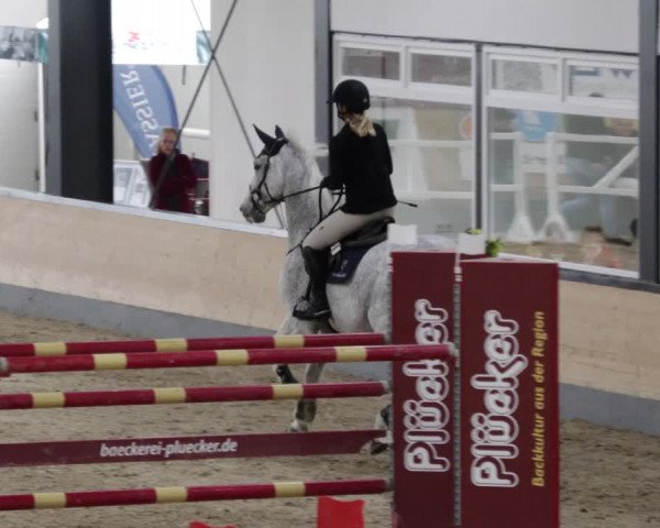 Reitturnier Borken 2023