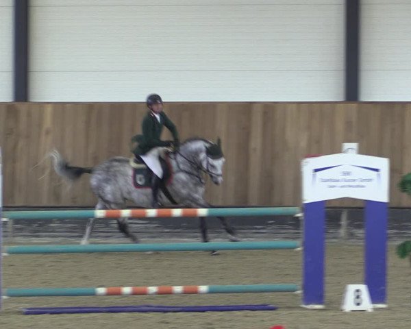 Reitturnier Zwickau 2023