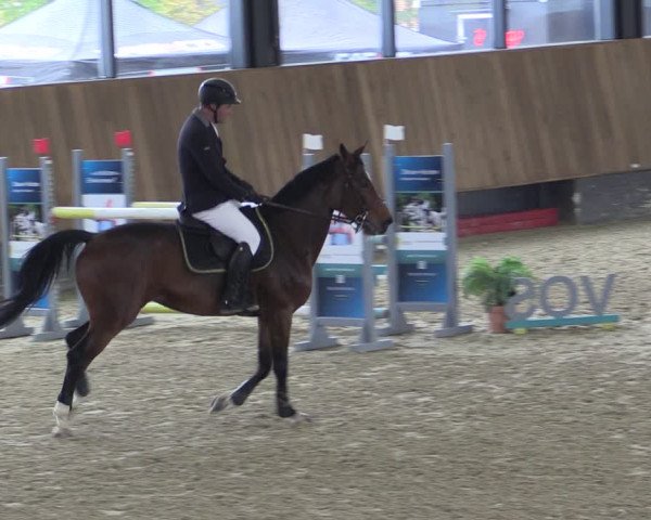 Reitturnier Zwickau 2023
