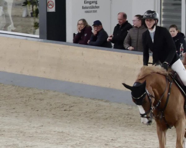 Reitturnier Borken 2023