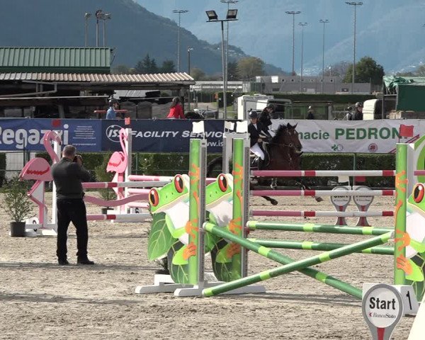 Reitturnier Giubiasco 2023