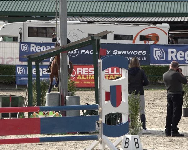 Reitturnier Giubiasco 2023