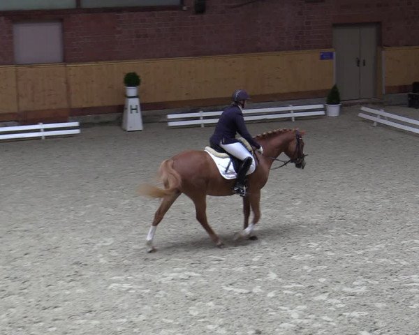 Reitturnier Hamburg-Friedrichshulde/Sylva Kuhrt 2023