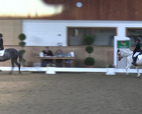 Reitturnier Hövelhof 2023