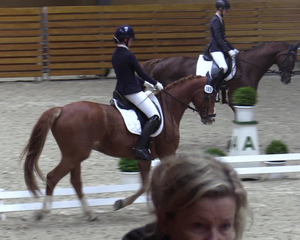 Reitturnier Hamburg-Friedrichshulde/Sylva Kuhrt 2023