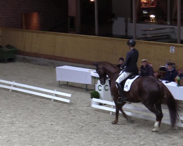 Reitturnier Hamburg-Friedrichshulde/Sylva Kuhrt 2023