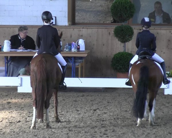 Reitturnier Hövelhof 2023