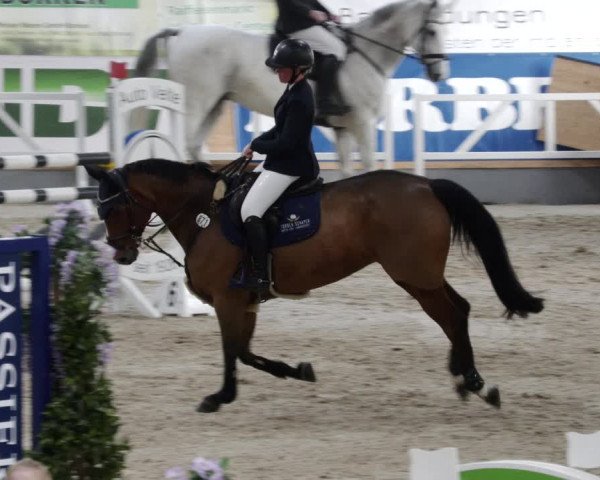 Reitturnier Borken 2023