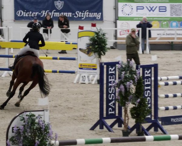 Reitturnier Borken 2023