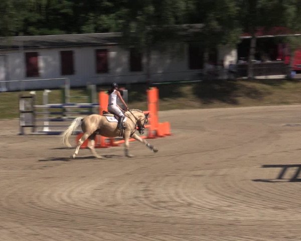 Reitturnier Lgl.-Oberhain, B95 2021