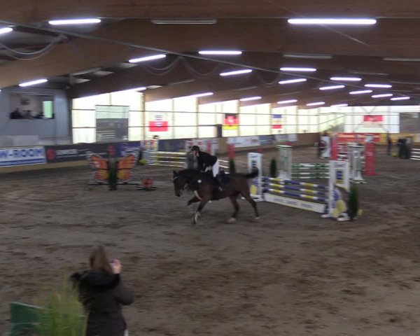 Reitturnier Pausin 2023