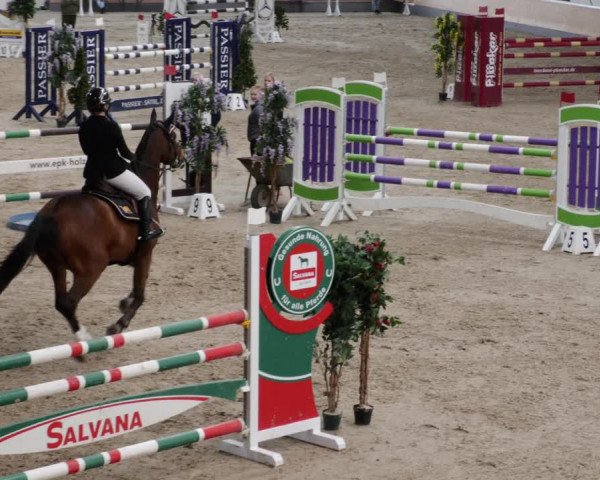 Reitturnier Borken 2023