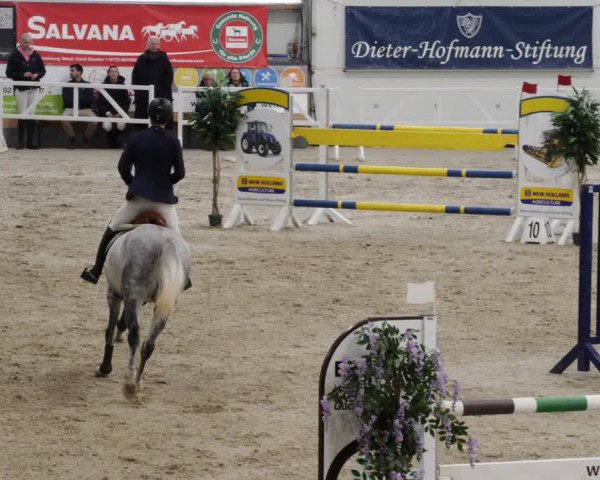 Reitturnier Borken 2023