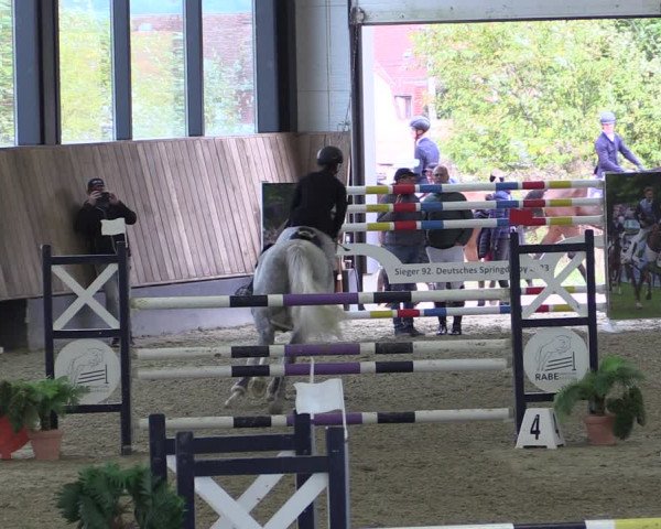 Reitturnier Zwickau 2023