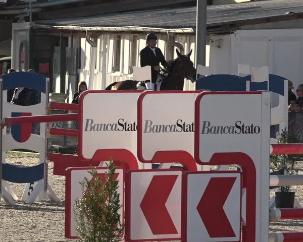 Reitturnier Giubiasco 2023