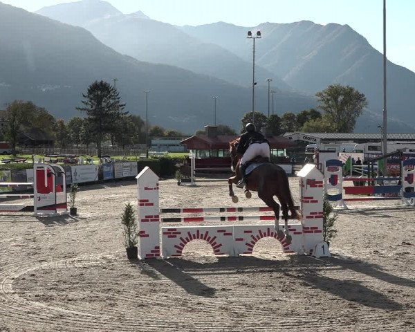 Reitturnier Giubiasco 2023